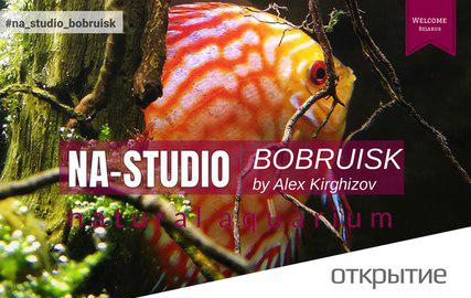 В Бобруйске работает выставка «Природный аквариум»