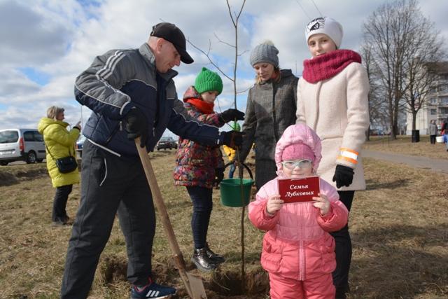 Парки семейных деревьев скоро появятся в Бобруйске